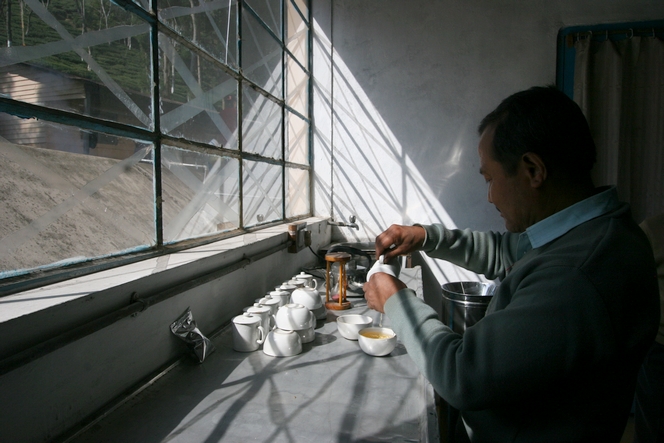 Tea tasting at the Teesta Valley Tea Estate factory.