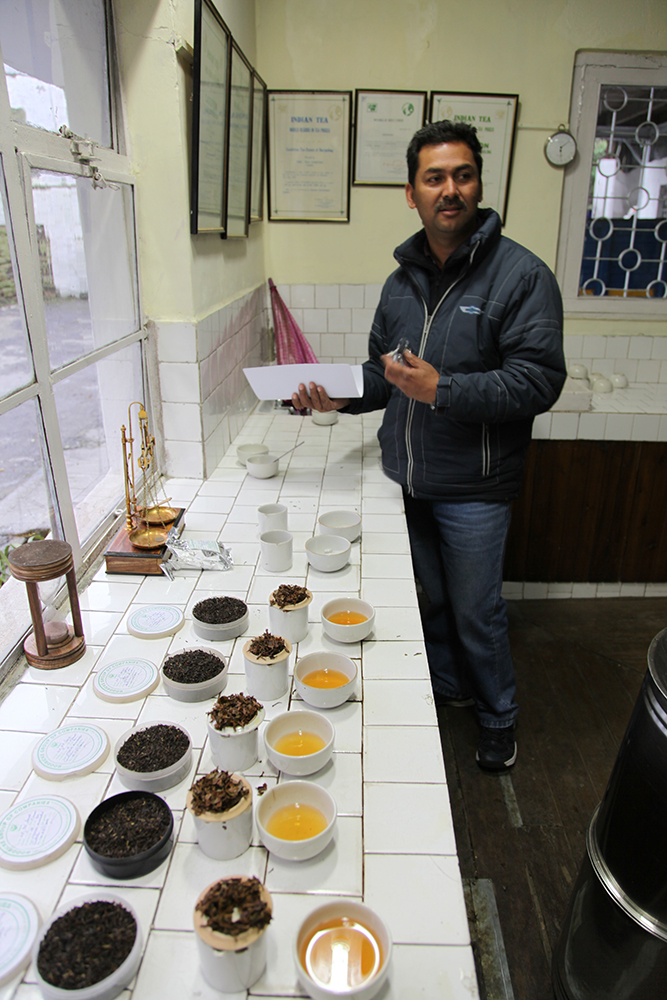 darjeeling rencontre