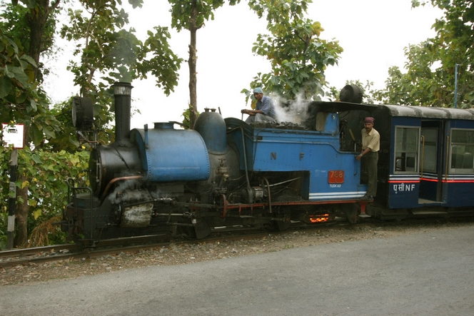 Le «Toy Train» reliant Jalpaiguri à Darjeeling