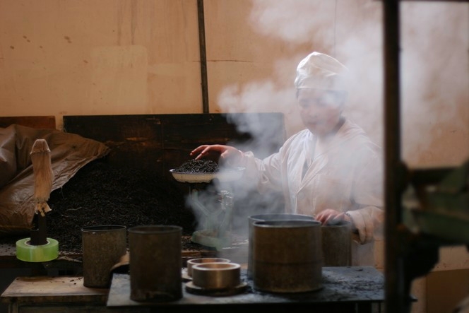 Galettes de thé Pu Erh formées à la vapeur