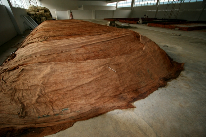 Certains Pu Erh fermentent sous une couverture