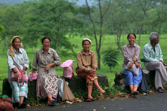 Un nouveau Darjeeling de Printemps vient d’arriver !