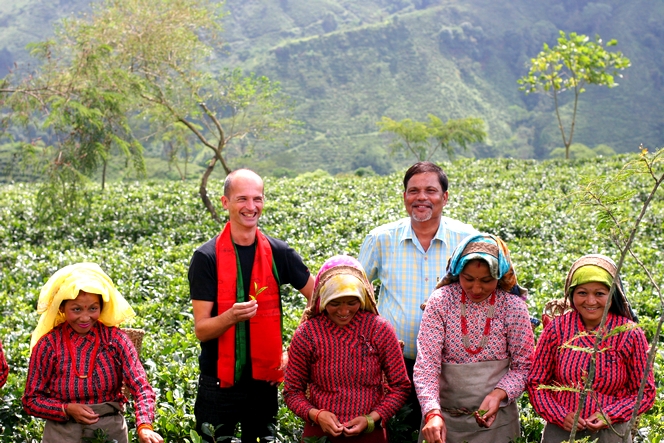 Visite de la plantation de thé de Balasun