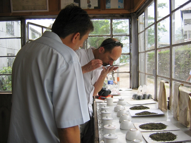 Sur la route de Darjeeling, je m’arrête à Longview