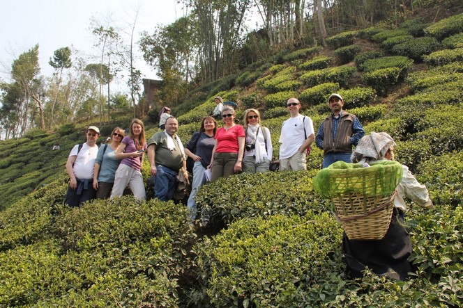 Huit élèves de l’Ecole du Thé à Darjeeling