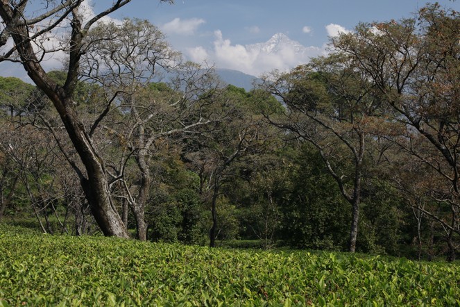 Le massif montagneux de Dhauladhar