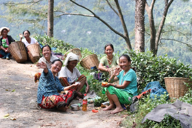 Une pause dans les plantations de thé