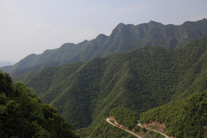 Visite des plantations de grands crus de Chine