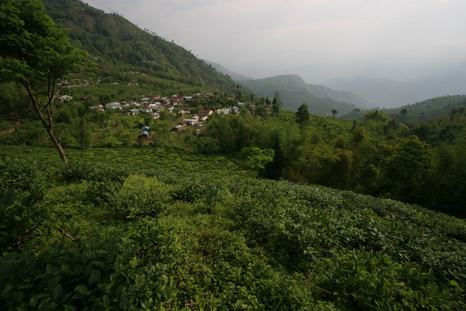 Soubresauts politiques à Darjeeling