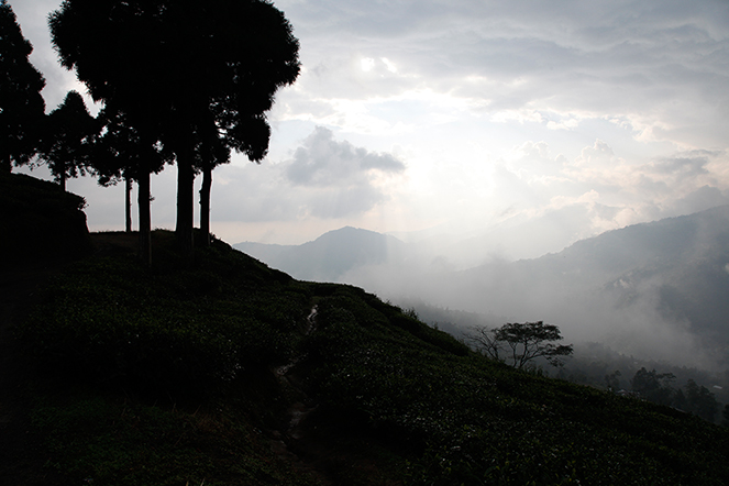 Sous les nuages himalayens