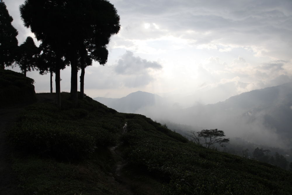 En attendant la pluie à Darjeeling