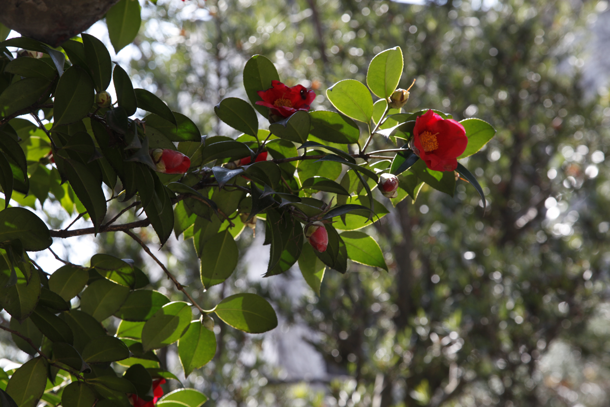 À chacun son printemps