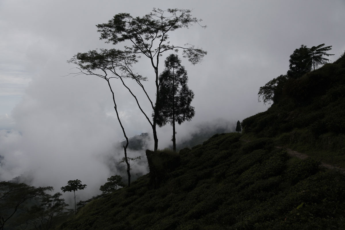 À Darjeeling, une situation dangereuse