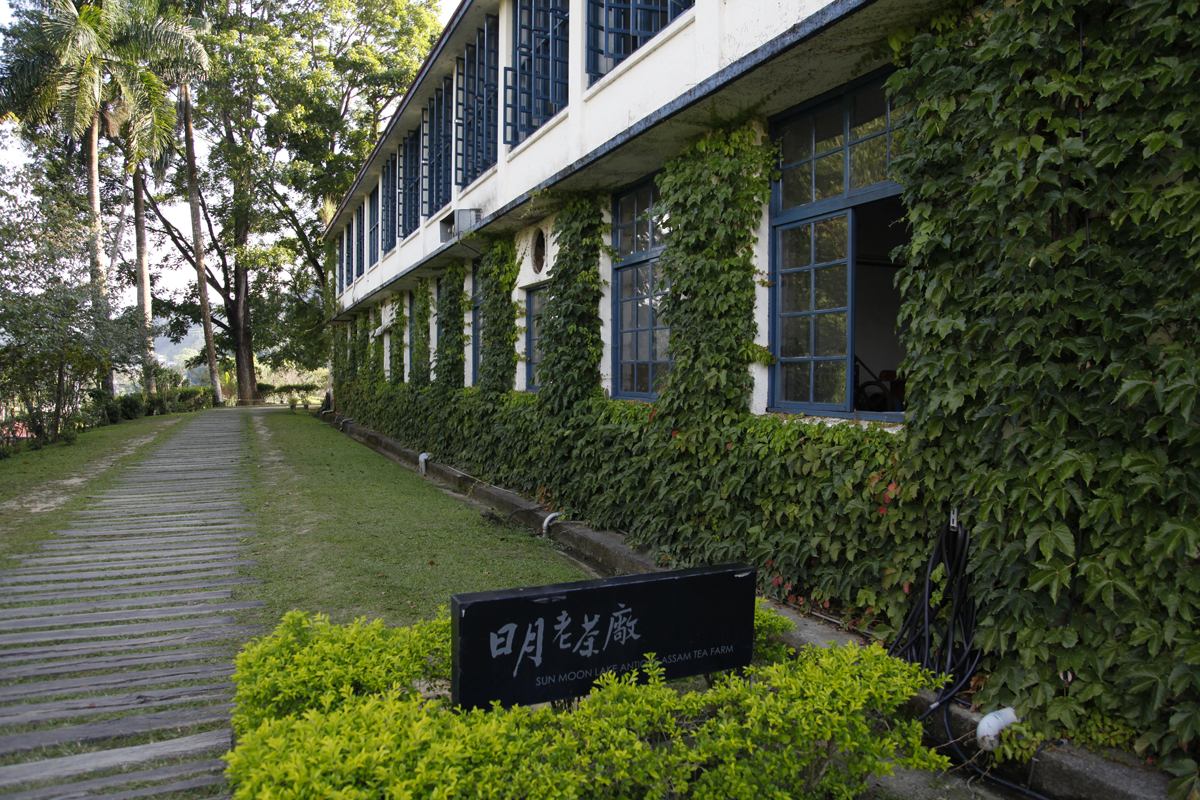 A Taïwan, une fabrique de thé noir devenue musée
