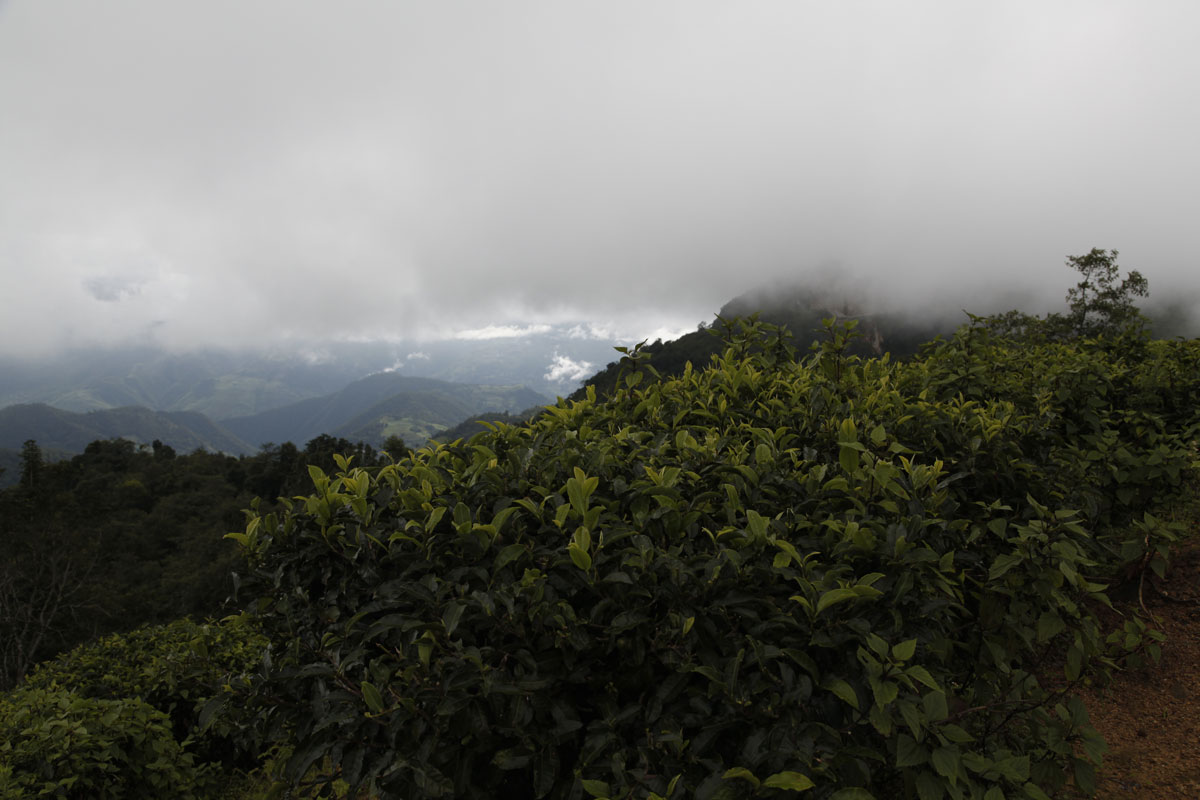 La tête dans les nuages