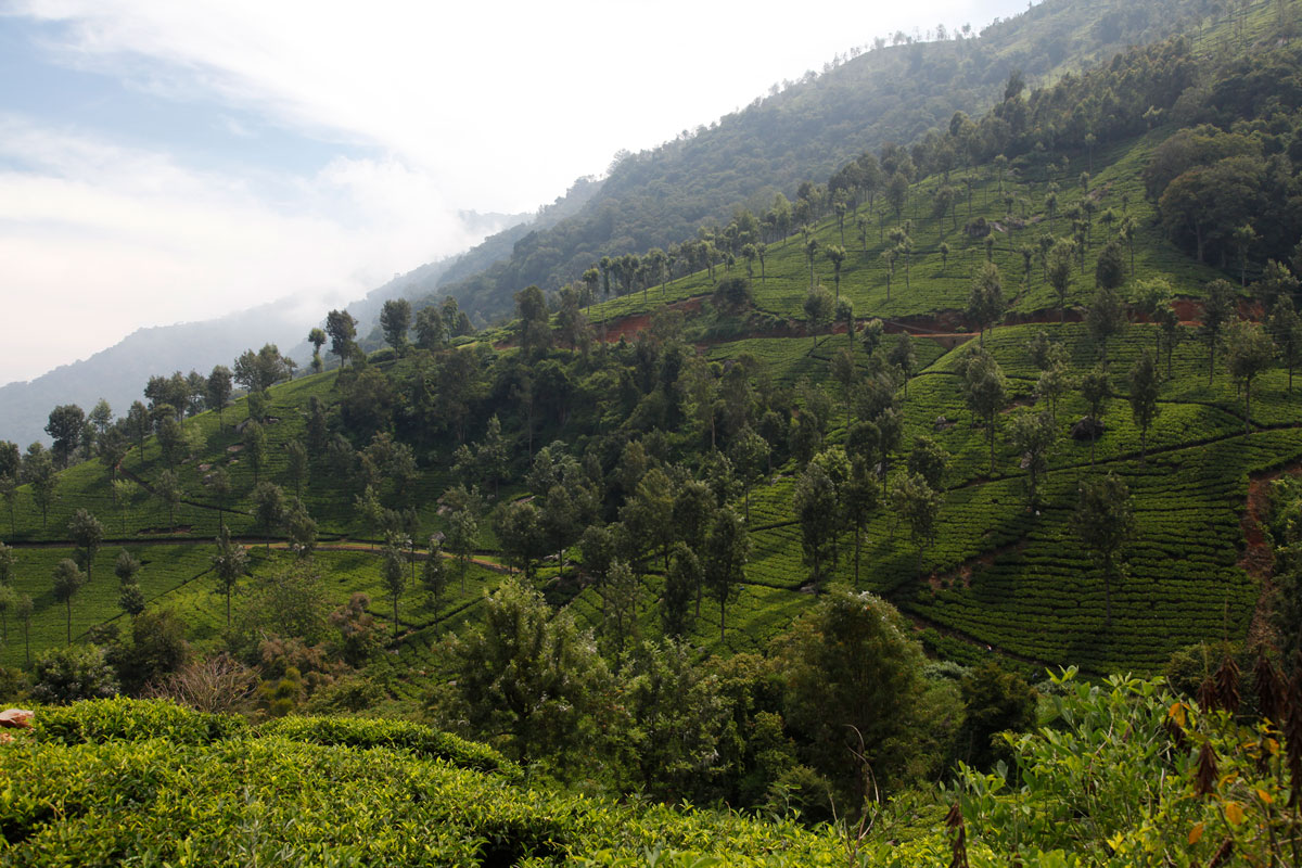 En Inde, un sud montagneux