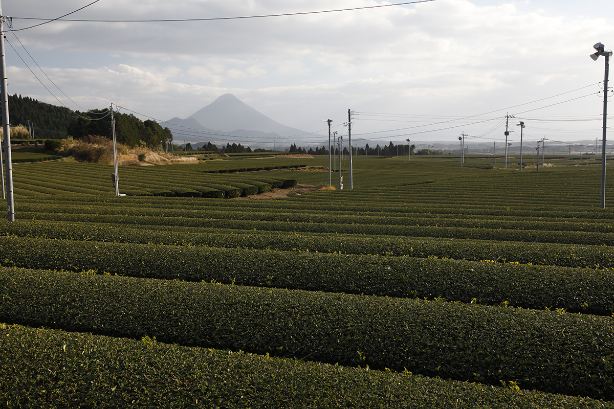 Un volcan dans le paysage