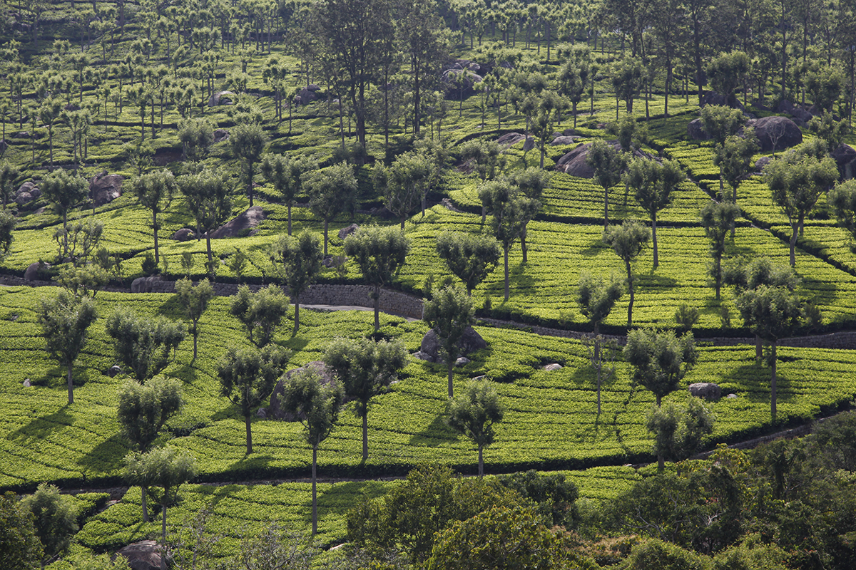 Des paysages variés