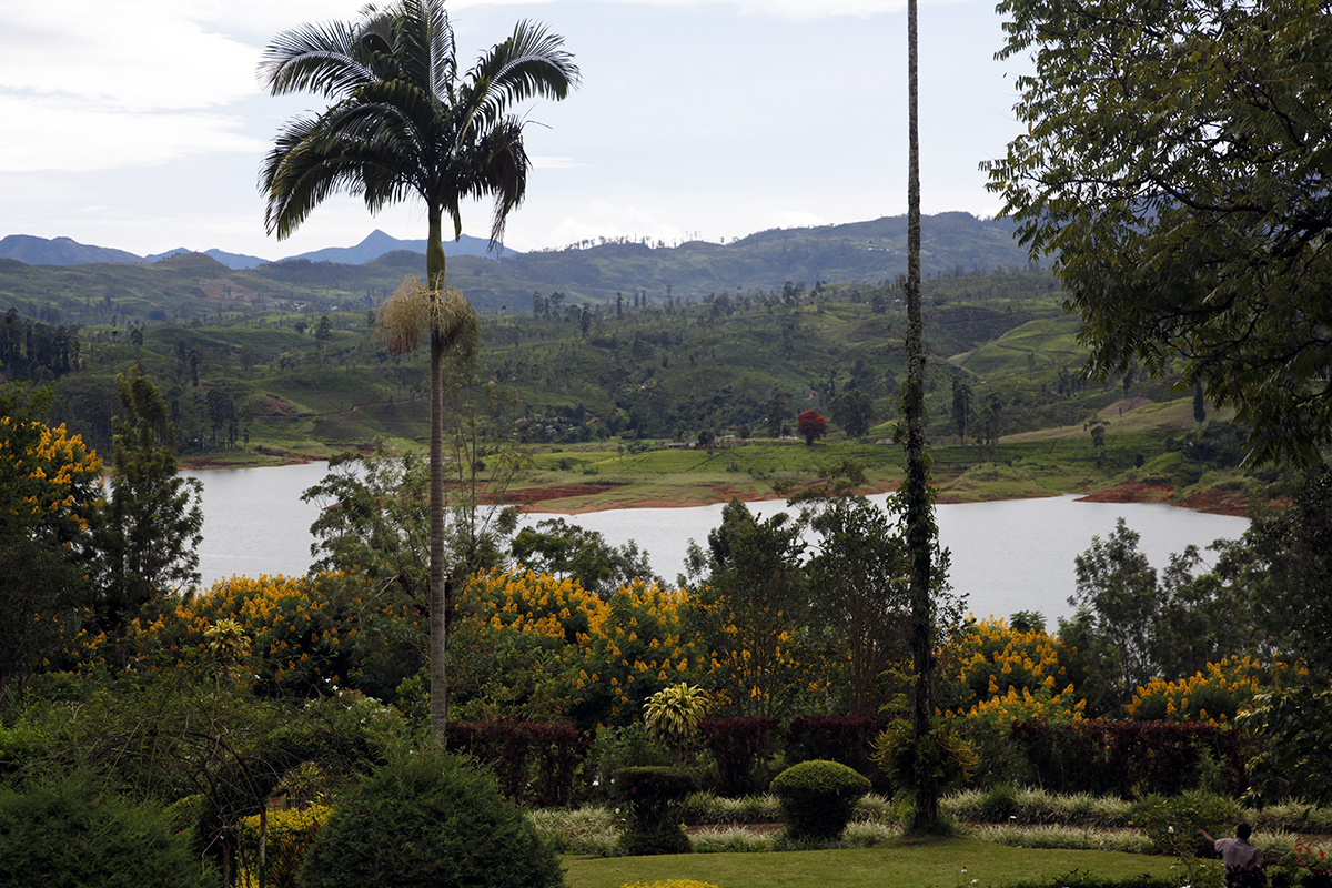 Autour du lac de Maskeliya