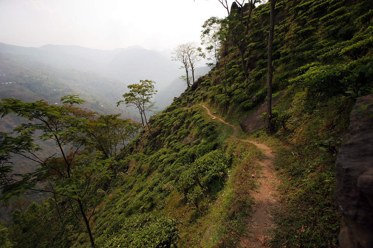 A flanc de montagne