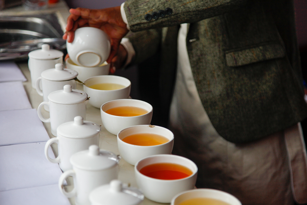 Un marathon qui a pour nom Darjeeling